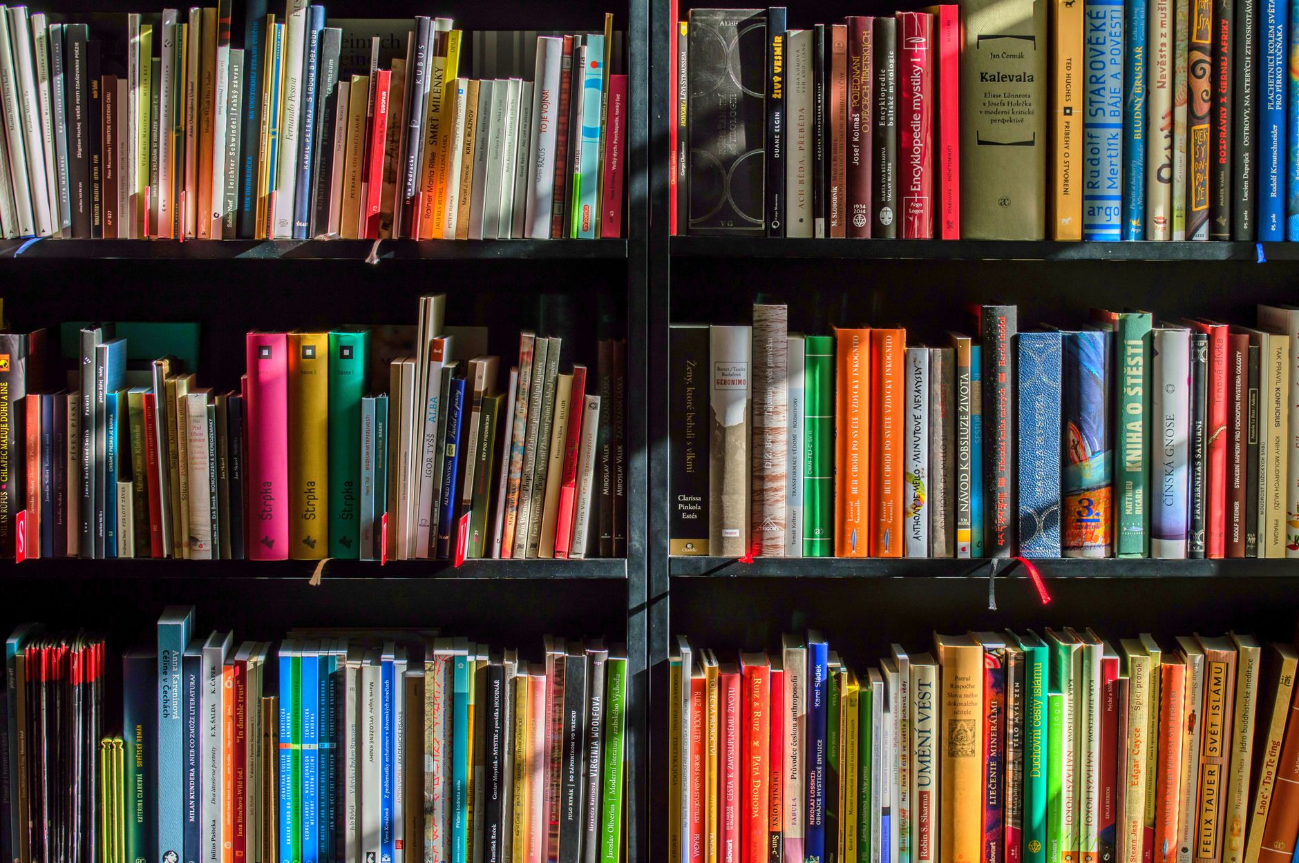 Rayonnage de librairie rempli de livres